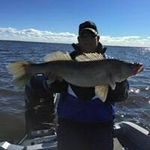 Profile Picture of Richard Bothum (@richardbothum) on Instagram