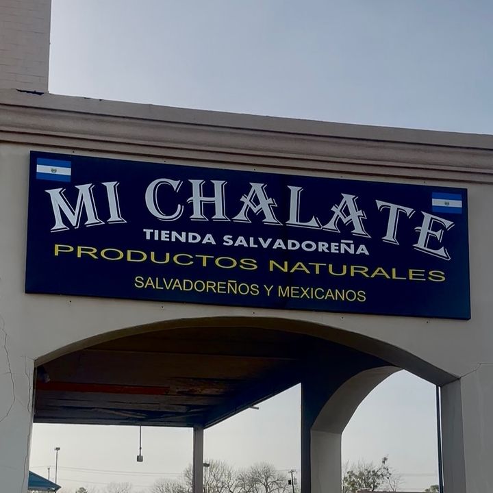 Profile Picture of Michalate (@michalate) on Tiktok