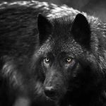 Profile Picture of Felix (@felix.gines) on Instagram