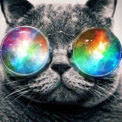 Profile Picture of Jasmine Barron (@jasminebarron01) on Twitter