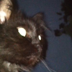 Profile Picture of Jon Franco (@126966624) on Myspace