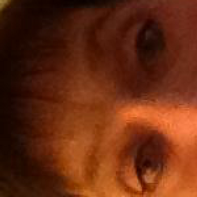 Profile Picture of Casey Grady (@thumperClover) on Twitter