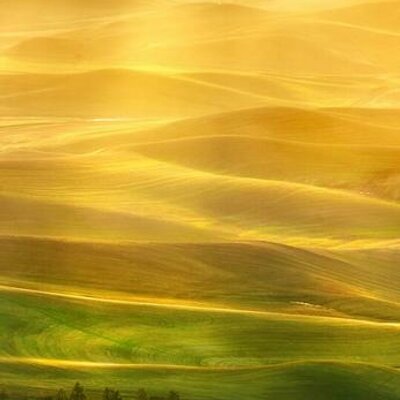 Profile Picture of John Dombrowski (@john_dombrowski) on Twitter