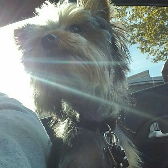 Profile Picture of David Melara (@dkmelara) on Poshmark