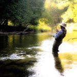 Profile Picture of Tony Aratari (@atari137) on Instagram