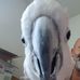 Profile Picture of Joe Nicks (@joe.nicks.104) on Facebook