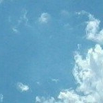 Profile Picture of Ⓐⓝⓝⓔ (@lapetitetaupe) on Instagram