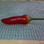 Profile Picture of Alex Schlee (@a.schlee) on Flickr