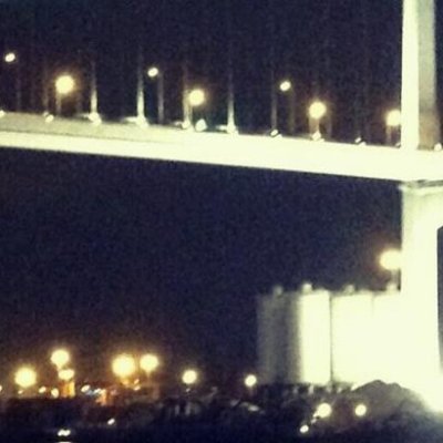 Profile Picture of Sheila Liu (@sheila_liu) on Twitter