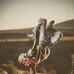 Profile Picture of Jared van Biljon (@jared.vanbiljon.9) on Facebook