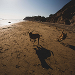 Profile Picture of Michael Haas (@j.michael.haas) on Flickr
