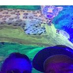 Profile Picture of David Ticknor (@david.ticknor.33) on Facebook