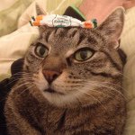 Profile Picture of Daniel Schultheiss (@dschultheiss) on Instagram