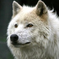 Profile Picture of Brendan Mcdevitt (@brendan-mcdevitt-5) on Quora