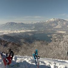 Profile Picture of Tanya Liu 😷 (@TanyaLi57738594) on Twitter