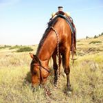 Profile Picture of Jamie Swanke (@jamiesswanke) on Instagram