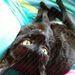 Profile Picture of Pamela Dunning (@dunningpamela6) on Pinterest