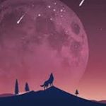 Profile Picture of Kylee Harper (@kylee205310) on Instagram