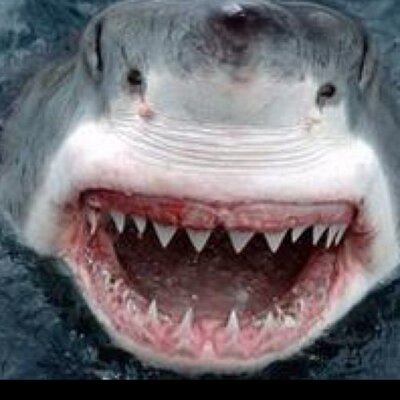 Profile Picture of Mike Marnell (@marnell_mike) on Twitter