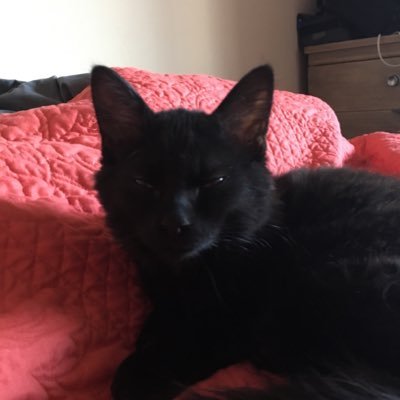 Profile Picture of Vivian Van Wagner (@vivianvanwagne1) on Twitter