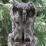 Profile Picture of Peter Weckesser (@Peter Weckesser) on Flickr