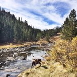 Profile Picture of Bryan Provost (@bryprovost) on Instagram