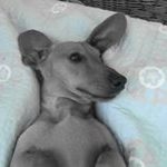 Profile Picture of josefa fuentes (@joshifran) on Instagram