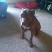 Profile Picture of Sheri Springer (@sheri.springer.3745) on Facebook