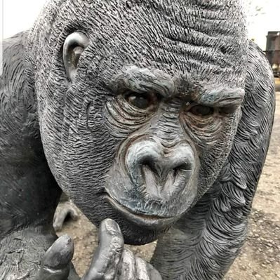 Allen Gerard - Twitter Profile Picture of Allen Gerard (@AllenGerard9) on Twitter