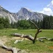 Profile Picture of Mark Biles (@ottomobiles) on Youtube