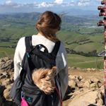Profile Picture of Heidi Matthews (@heidi_matthews) on Instagram