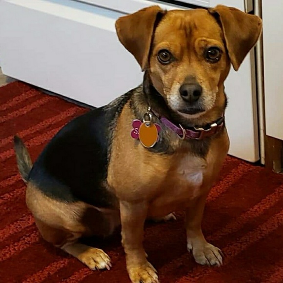 Profile Picture of Cheryl Shibley (@cshibley) on Poshmark