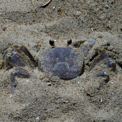 Profile Picture of James Nolin (@IrishMobBoss) on Twitter