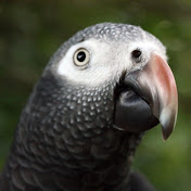 Profile Picture of Colin Wagner (@colinwagner3108) on Youtube