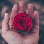 Profile Picture of চুদাচুদি চুদাচুদা (@alex.siegel.2k) on Instagram