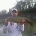 Profile Picture of Larry Billman (@larry.billman.7) on Facebook