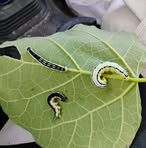 Profile Picture of Ralph Hughes (@ralph.hughes.1671) on Facebook