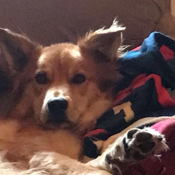 Profile Picture of Alecia St (@kimberk6s) on Tiktok