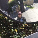 Profile Picture of Christopher (@oatsmael) on Instagram