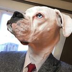 Joe Kuhlman - Instagram Profile Picture of Joe Kuhlman (@im.sleep.joe) on Instagram