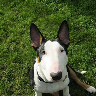 Profile Picture of Arthur Kearney (@arthur.kearney.391) on Facebook