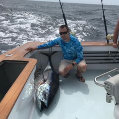 Profile Picture of Michael Kilby (@michaelkilby0) on Tiktok