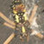 Profile Picture of Robert Weers (@bobweers) on Flickr