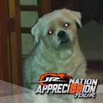 Profile Picture of Nell Kennedy (@nell.kennedy.1) on Facebook