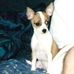 Profile Picture of Karen Niblock (@kniblock1) on Facebook
