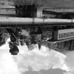 herring - Instagram Profile Picture of herring (@wixted39) on Instagram