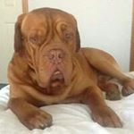 Profile Picture of Andrew Loughran (@andrew.loughran) on Instagram