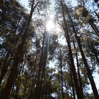 Profile Picture of Lakshmi Narasimhan R (@lakshmi-narasimhan-r-1) on Quora