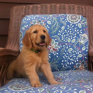 Profile Picture of Patrick Bostick (@patrick.bostick.10) on Facebook