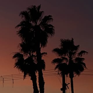 Profile Picture of Ivan Trejo (@eyevantrejo) on Instagram